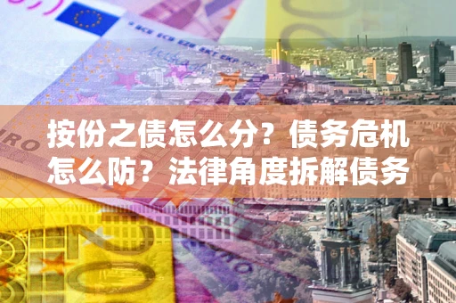 武汉按份之债怎么分？债务危机怎么防？法律角度拆解债务分配与风险自保指南