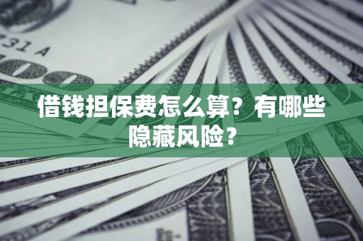 武汉借钱担保费怎么算？有哪些隐藏风险？