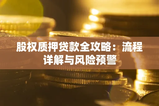 武汉股权质押贷款全攻略：流程详解与风险预警
