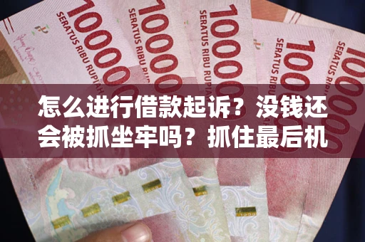 武汉怎么进行借款起诉？没钱还会被抓坐牢吗？抓住最后机会！
