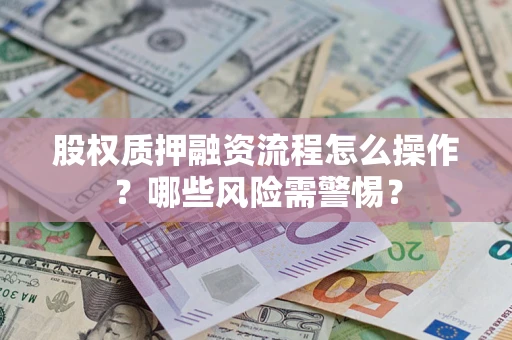 武汉股权质押融资流程怎么操作？哪些风险需警惕？