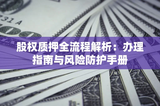 武汉股权质押全流程解析：办理指南与风险防护手册