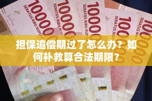 武汉担保追偿期过了怎么办？如何补救算合法期限？