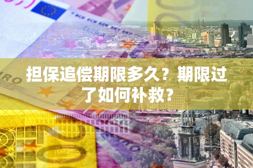 武汉担保追偿期限多久？期限过了如何补救？