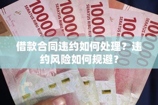 武汉借款合同违约如何处理？违约风险如何规避？