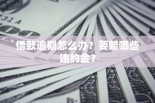 武汉借款逾期怎么办？要赔哪些违约金？
