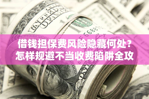 武汉借钱担保费风险隐藏何处？怎样规避不当收费陷阱全攻略！