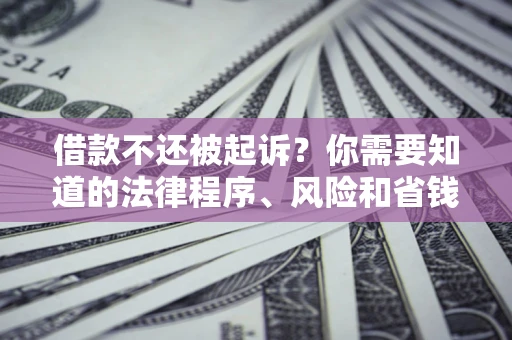 武汉借款不还被起诉？你需要知道的法律程序、风险和省钱技巧