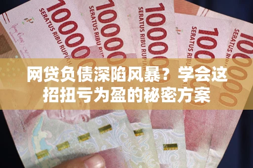 武汉网贷负债深陷风暴？学会这招扭亏为盈的秘密方案